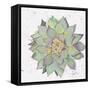 Cactus 1-Beverly Dyer-Framed Stretched Canvas