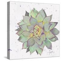 Cactus 1-Beverly Dyer-Stretched Canvas