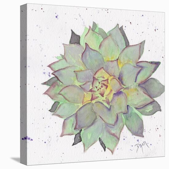 Cactus 1-Beverly Dyer-Stretched Canvas