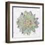 Cactus 1-Beverly Dyer-Framed Art Print