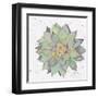 Cactus 1-Beverly Dyer-Framed Art Print