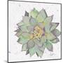 Cactus 1-Beverly Dyer-Mounted Art Print