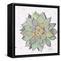 Cactus 1-Beverly Dyer-Framed Stretched Canvas