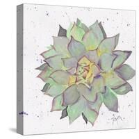 Cactus 1-Beverly Dyer-Stretched Canvas