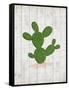 Cactus 1-Kimberly Allen-Framed Stretched Canvas