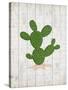 Cactus 1-Kimberly Allen-Stretched Canvas