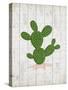 Cactus 1-Kimberly Allen-Stretched Canvas