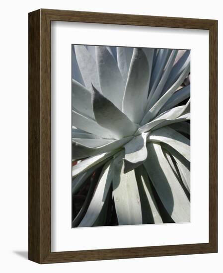 Cactus 2-Jenny Kraft-Framed Art Print