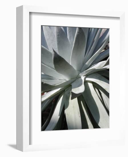 Cactus 2-Jenny Kraft-Framed Art Print