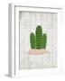 Cactus 2-Kimberly Allen-Framed Art Print