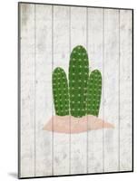 Cactus 2-Kimberly Allen-Mounted Art Print