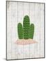 Cactus 2-Kimberly Allen-Mounted Art Print