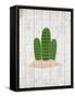 Cactus 2-Kimberly Allen-Framed Stretched Canvas