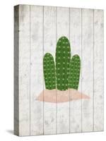 Cactus 2-Kimberly Allen-Stretched Canvas