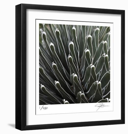 Cactus 34-Ken Bremer-Framed Limited Edition