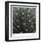 Cactus 34-Ken Bremer-Framed Limited Edition