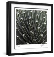 Cactus 34-Ken Bremer-Framed Limited Edition