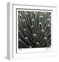Cactus 34-Ken Bremer-Framed Limited Edition