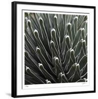 Cactus 34-Ken Bremer-Framed Limited Edition