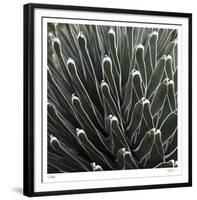 Cactus 34-Ken Bremer-Framed Limited Edition