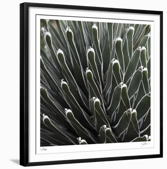 Cactus 34-Ken Bremer-Framed Limited Edition