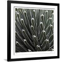 Cactus 34-Ken Bremer-Framed Limited Edition