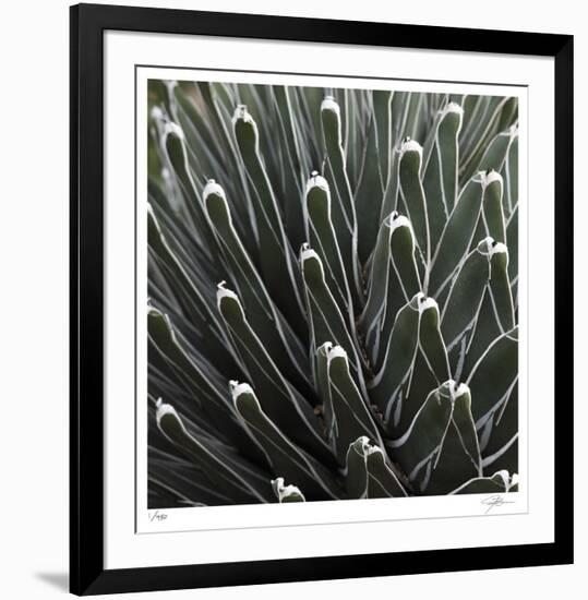 Cactus 34-Ken Bremer-Framed Limited Edition