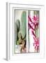 Cactus and Flower-null-Framed Art Print