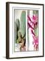 Cactus and Flower-null-Framed Art Print