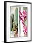 Cactus and Flower-null-Framed Art Print