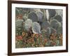 Cactus and Indian Blanket Flower, Moore, Texas, USA-Darrell Gulin-Framed Photographic Print