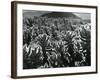 Cactus and Landscape, c. 1940-Brett Weston-Framed Photographic Print