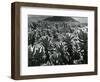 Cactus and Landscape, c. 1940-Brett Weston-Framed Photographic Print