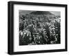 Cactus and Landscape, c. 1940-Brett Weston-Framed Photographic Print