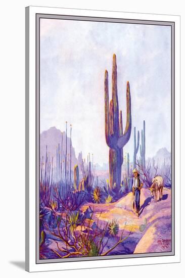 Cactus and Man-null-Stretched Canvas