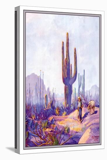 Cactus and Man-null-Stretched Canvas