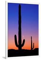 Cactus and Moon-Lantern Press-Framed Art Print