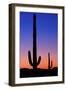 Cactus and Moon-Lantern Press-Framed Art Print