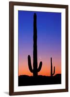 Cactus and Moon-Lantern Press-Framed Art Print