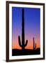 Cactus and Moon-Lantern Press-Framed Art Print