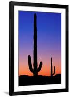 Cactus and Moon-Lantern Press-Framed Art Print