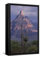 Cactus and Picacho Peak-DLILLC-Framed Stretched Canvas