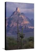 Cactus and Picacho Peak-DLILLC-Stretched Canvas