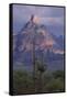 Cactus and Picacho Peak-DLILLC-Framed Stretched Canvas