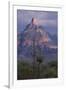 Cactus and Picacho Peak-DLILLC-Framed Photographic Print