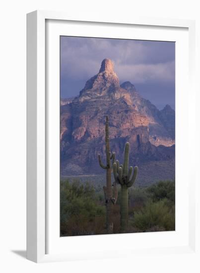 Cactus and Picacho Peak-DLILLC-Framed Photographic Print