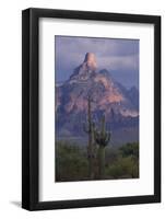 Cactus and Picacho Peak-DLILLC-Framed Photographic Print