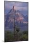 Cactus and Picacho Peak-DLILLC-Mounted Photographic Print