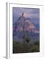 Cactus and Picacho Peak-DLILLC-Framed Photographic Print