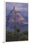 Cactus and Picacho Peak-DLILLC-Framed Photographic Print